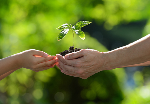 Eco Conscious Mission | The Motion of Gratitude