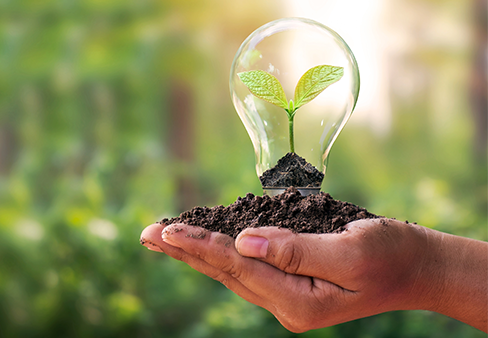 Eco Conscious Mission | The Motion of Gratitude